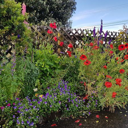 The Green House B&B Whitianga Eksteriør billede