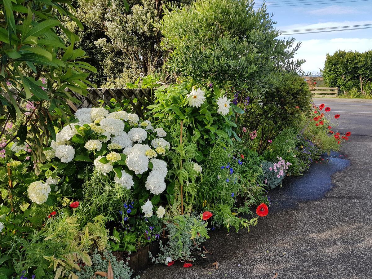 The Green House B&B Whitianga Eksteriør billede