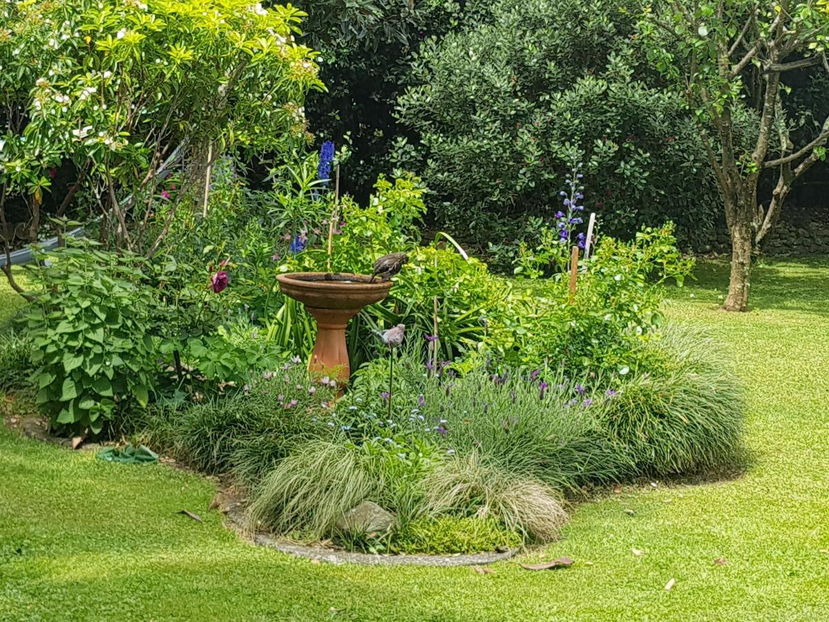 The Green House B&B Whitianga Eksteriør billede